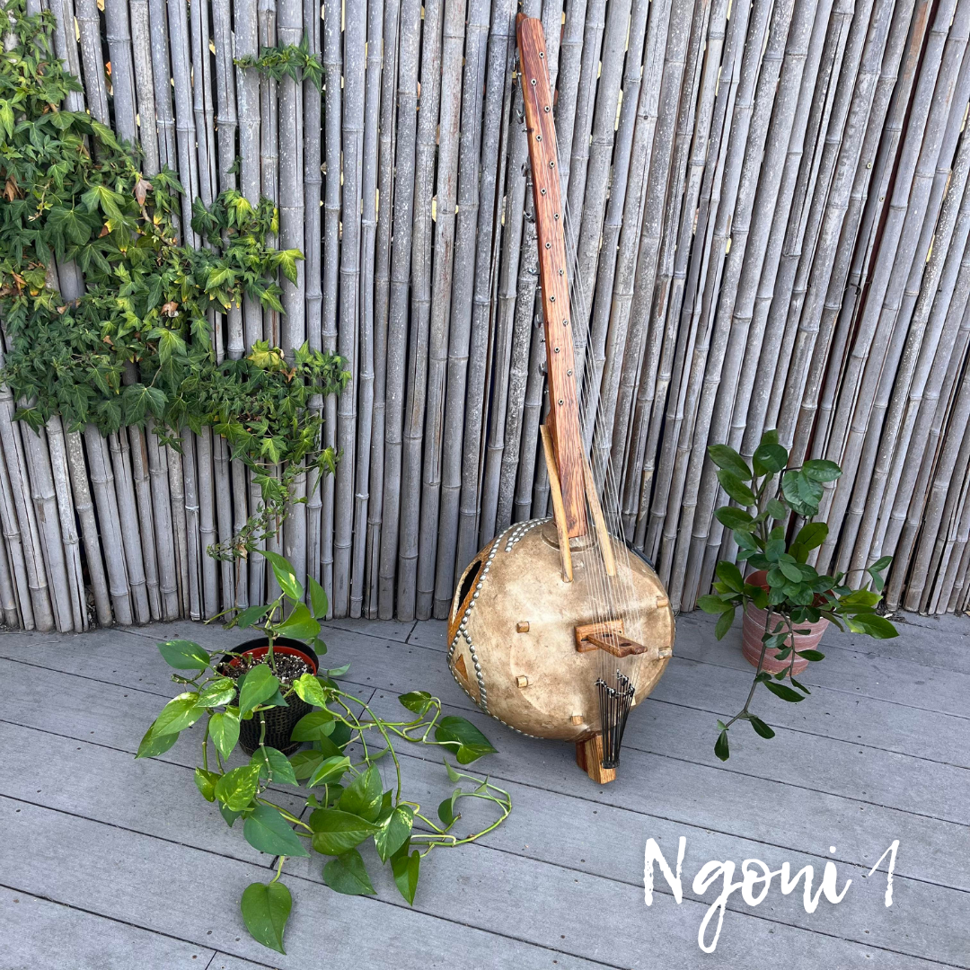 Ngoni West African Harp (Electric Acoustic!) – Beautiful Sounds Healing  Music Instruments