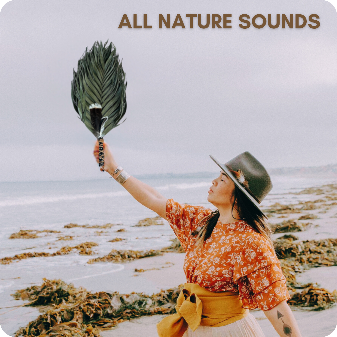 Learn Nature Instruments NATURE Collection – Beautiful Sounds Healing Music Instruments