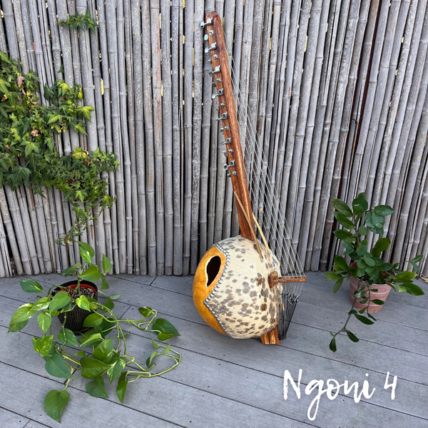 Ngoni West African Harp (Electric Acoustic!)