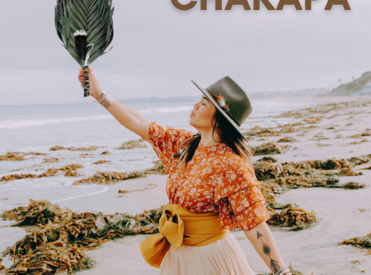Chakapa Beautiful Sounds Healing Music Instruments
