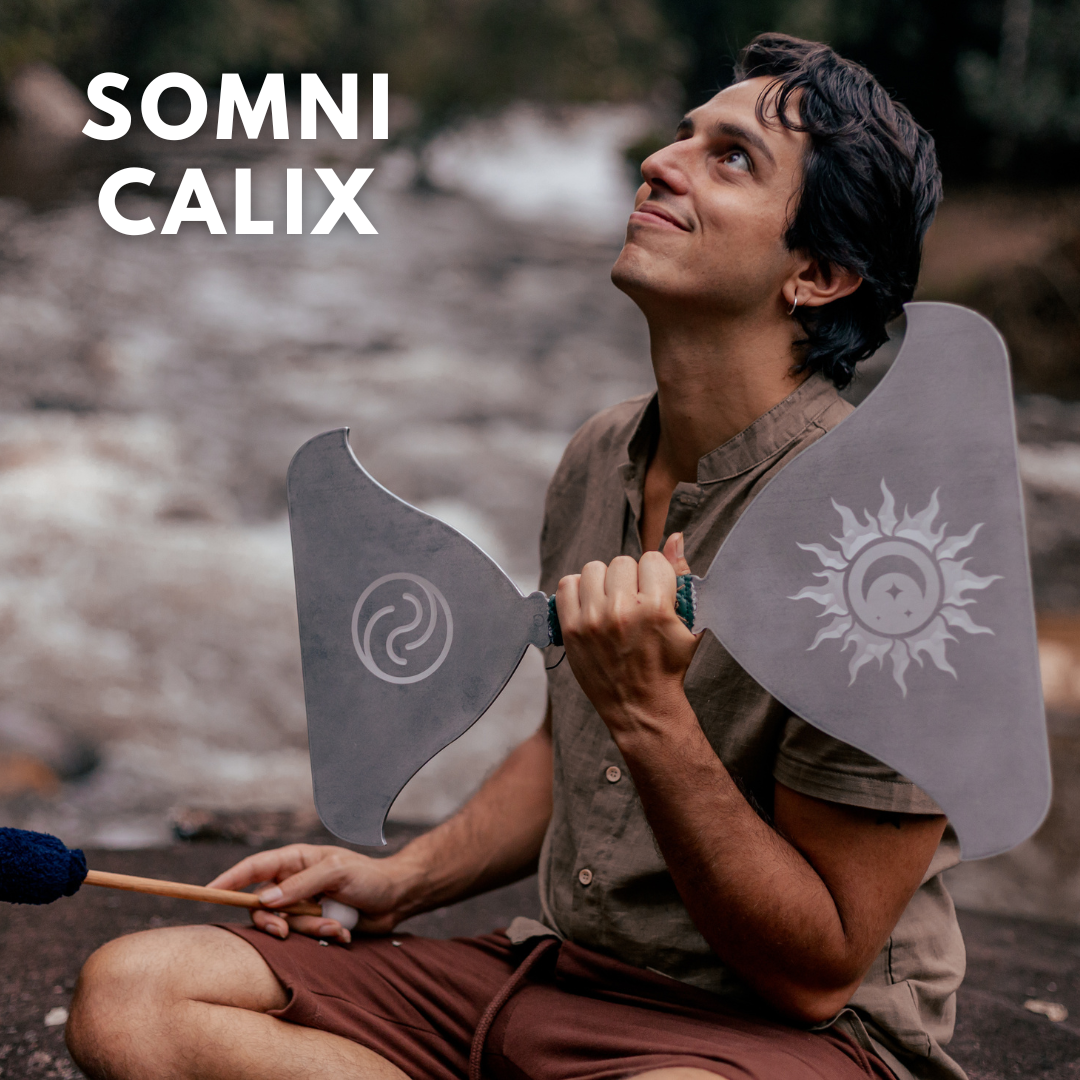 Somni Calix Beautiful Sounds Healing Music Instruments