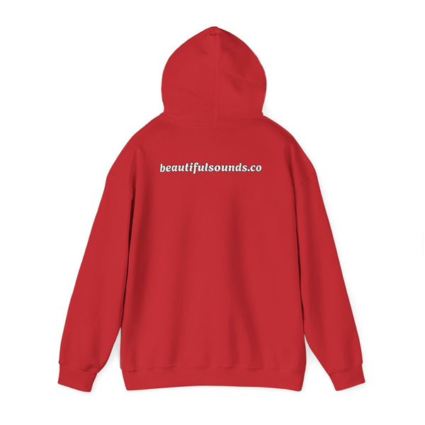 SOUND HEALING IS MY SUPER POWER Hoodies