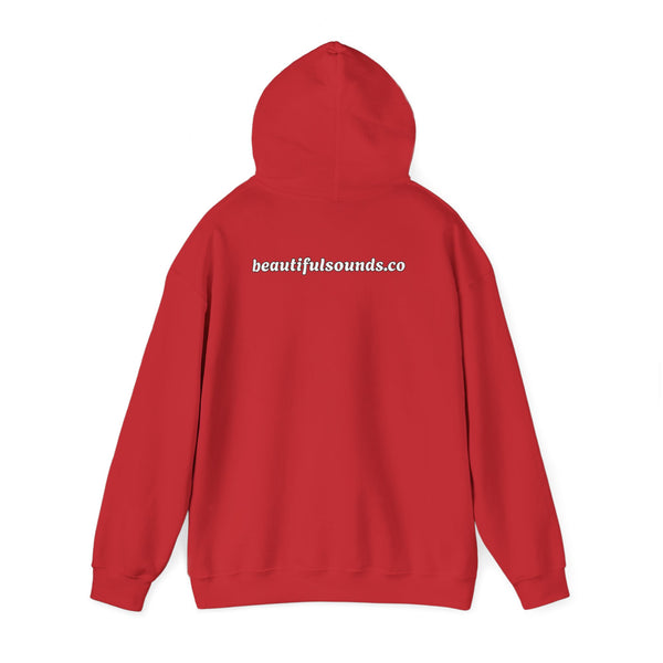 BORN TO BE A SOUND HEALER Hoodies