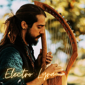 Electro Lyra Cascadia Instruments Beautiful Sounds Healing Music Instruments