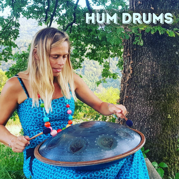 Hum Drum Harmonic Tongue Pan Beautiful Sounds Healing Music Instruments