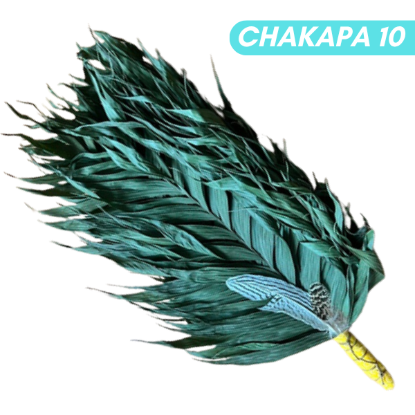 Chakapas