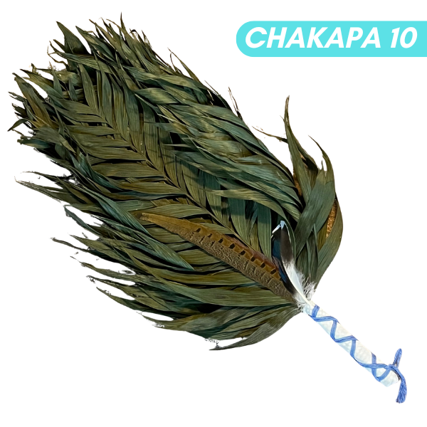 Chakapas Ceremonial Sound Tool