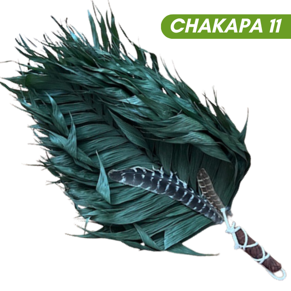 Chakapas Ceremonial Sound Tool