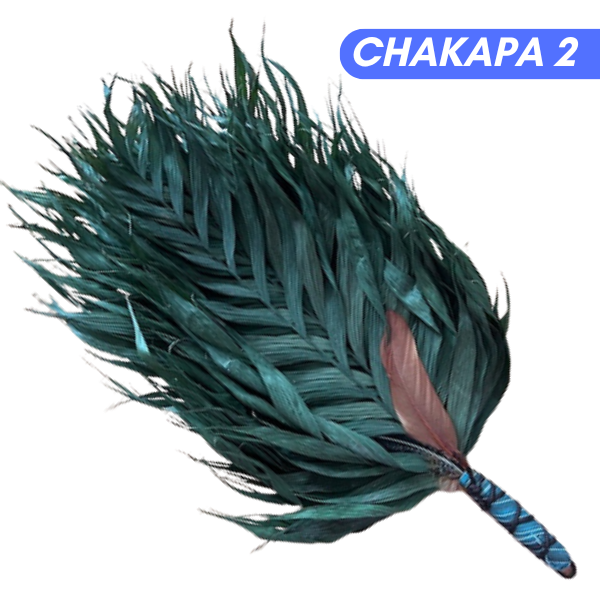 Chakapas Ceremonial Sound Tool