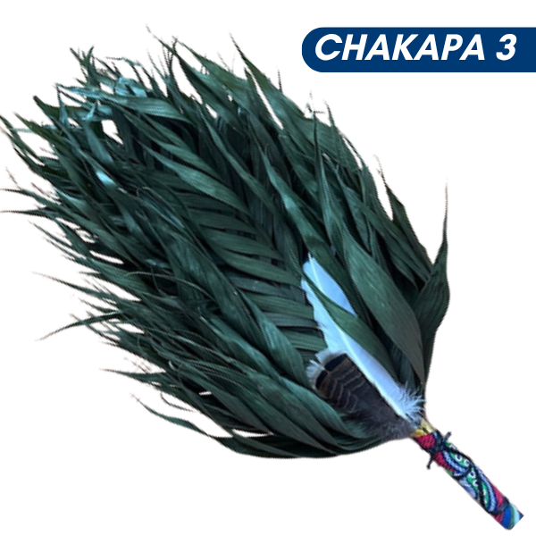 Chakapas Ceremonial Sound Tool