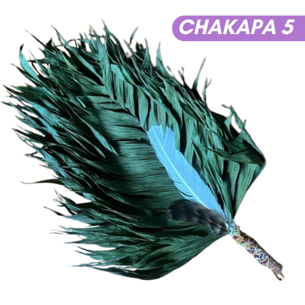 Chakapas