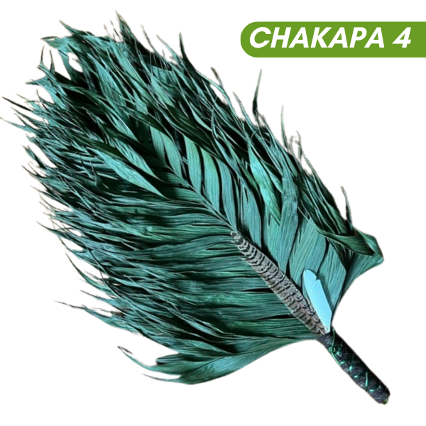 Chakapas