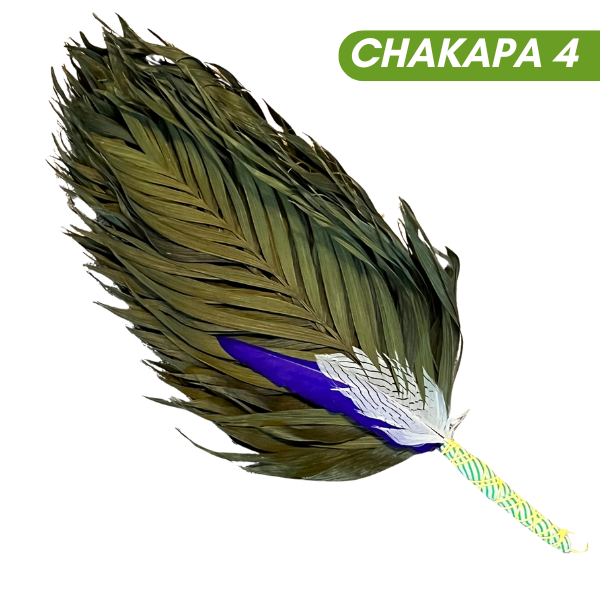 Chakapas Ceremonial Sound Tool