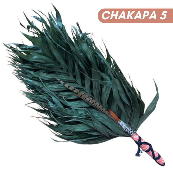 Chakapas Ceremonial Sound Tool