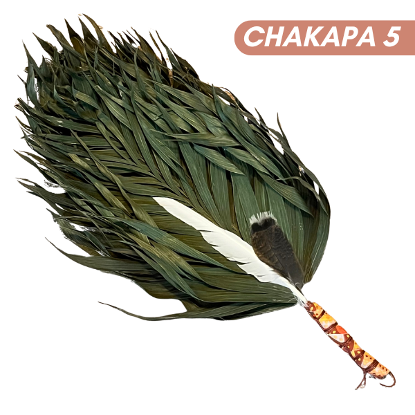 Chakapas Ceremonial Sound Tool