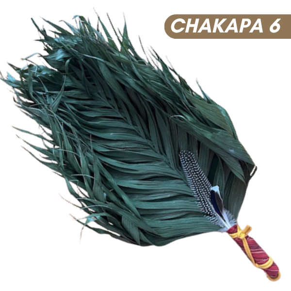 Chakapas Ceremonial Sound Tool