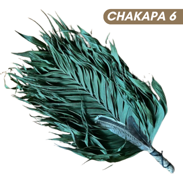 Chakapas