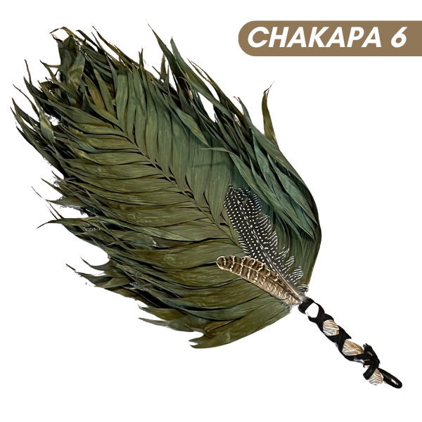 Chakapas Ceremonial Sound Tool