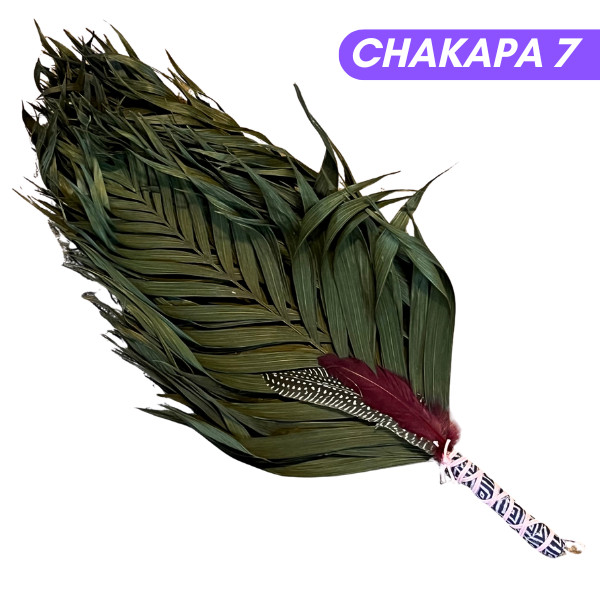 Chakapas Ceremonial Sound Tool