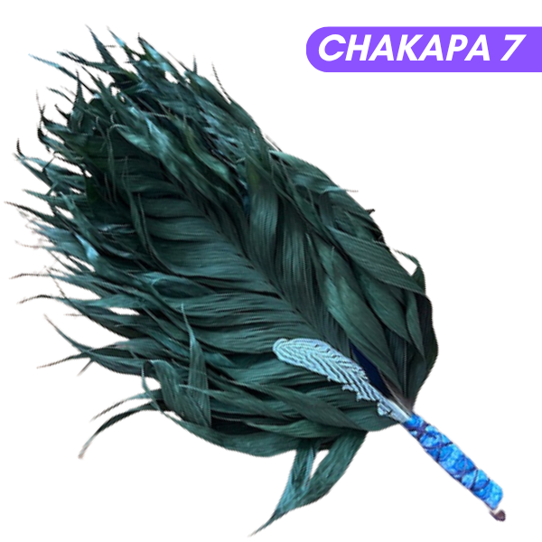 Chakapas Ceremonial Sound Tool