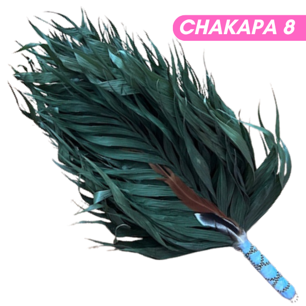 Chakapas Ceremonial Sound Tool