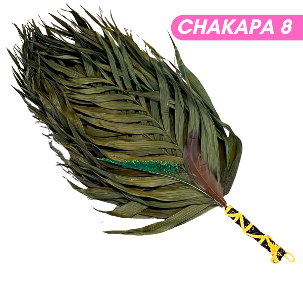 Chakapas Ceremonial Sound Tool