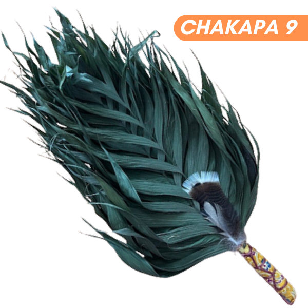Chakapas Ceremonial Sound Tool