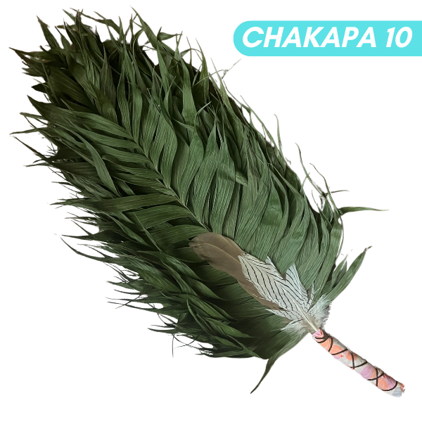 Chakapas Ceremonial Sound Tool