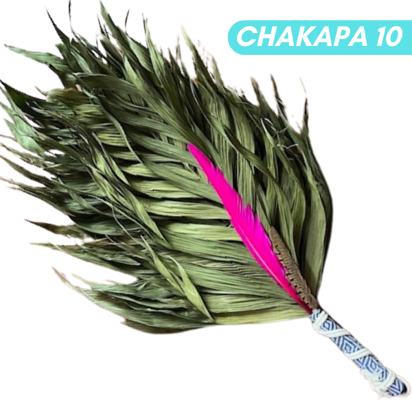 Chakapas Ceremonial Sound Tool