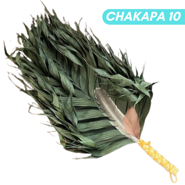 Chakapas Ceremonial Sound Tool