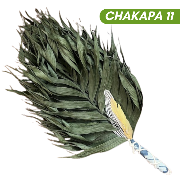Chakapas Ceremonial Sound Tool