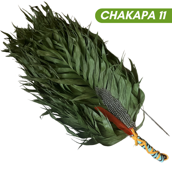 Chakapas Ceremonial Sound Tool