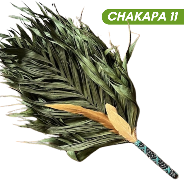 Chakapas Ceremonial Sound Tool