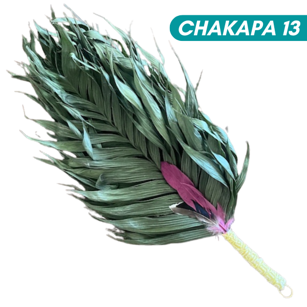 Chakapas Ceremonial Sound Tool