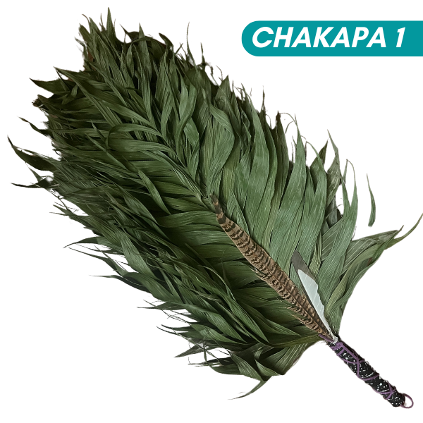 Chakapas Ceremonial Sound Tool