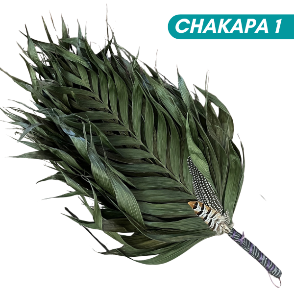 Chakapas Ceremonial Sound Tool