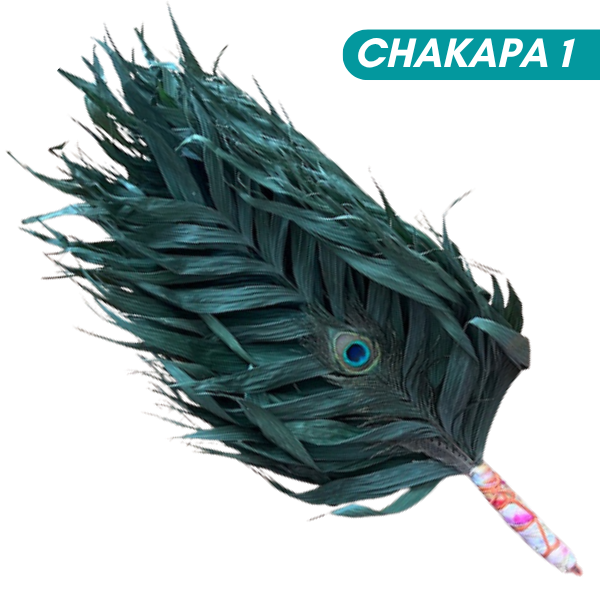 Chakapas Ceremonial Sound Tool