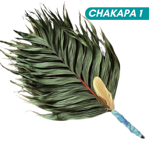 Chakapas Ceremonial Sound Tool