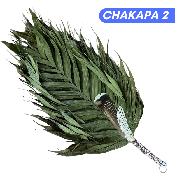 Chakapas Ceremonial Sound Tool