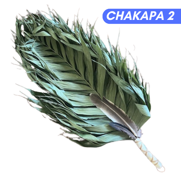 Chakapas Ceremonial Sound Tool