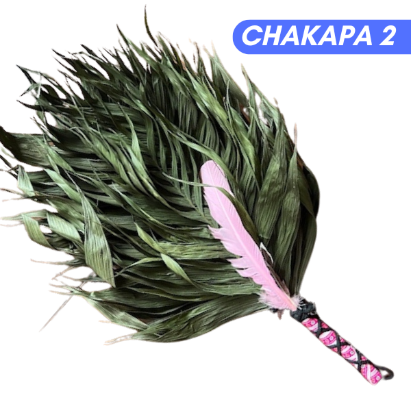 Chakapas Ceremonial Sound Tool