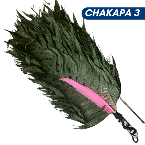 Chakapas Ceremonial Sound Tool