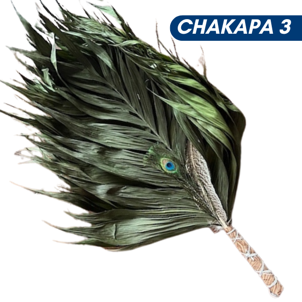 Chakapas Ceremonial Sound Tool