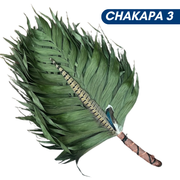 Chakapas Ceremonial Sound Tool