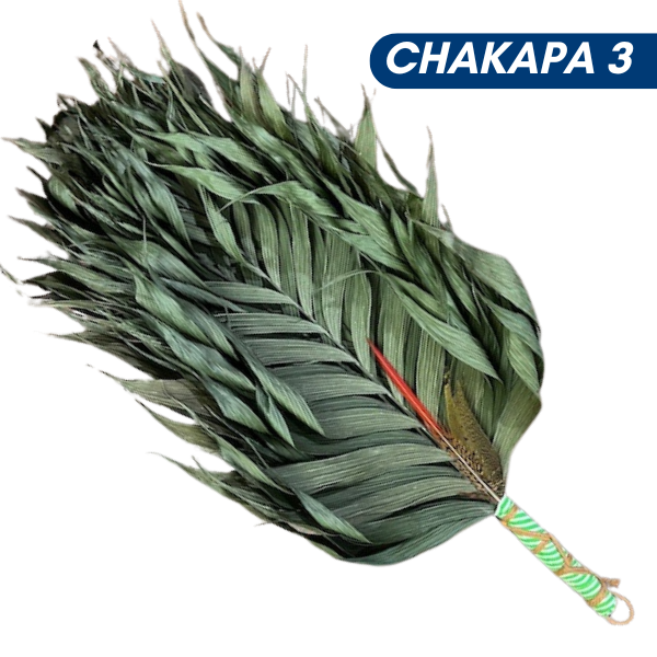 Chakapas Ceremonial Sound Tool