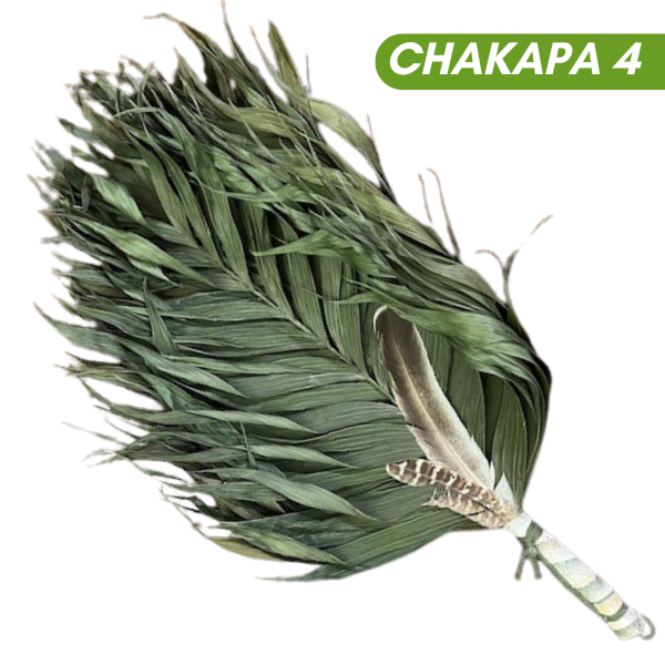 Chakapas Ceremonial Sound Tool