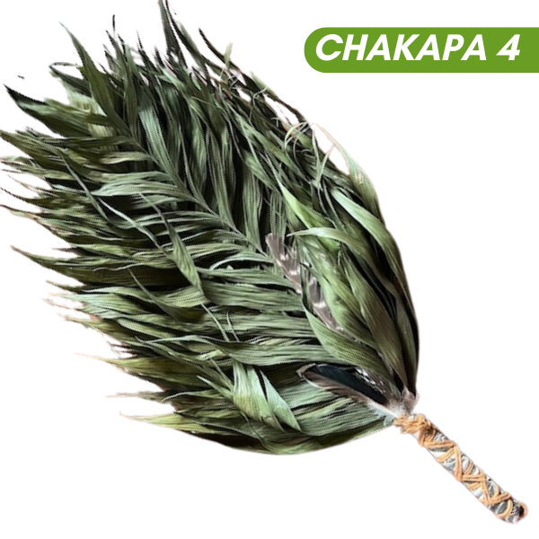 Chakapas Ceremonial Sound Tool