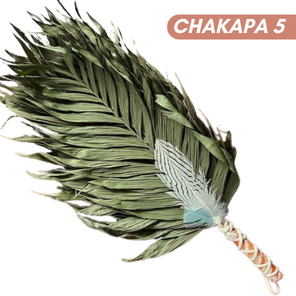 Chakapas Ceremonial Sound Tool