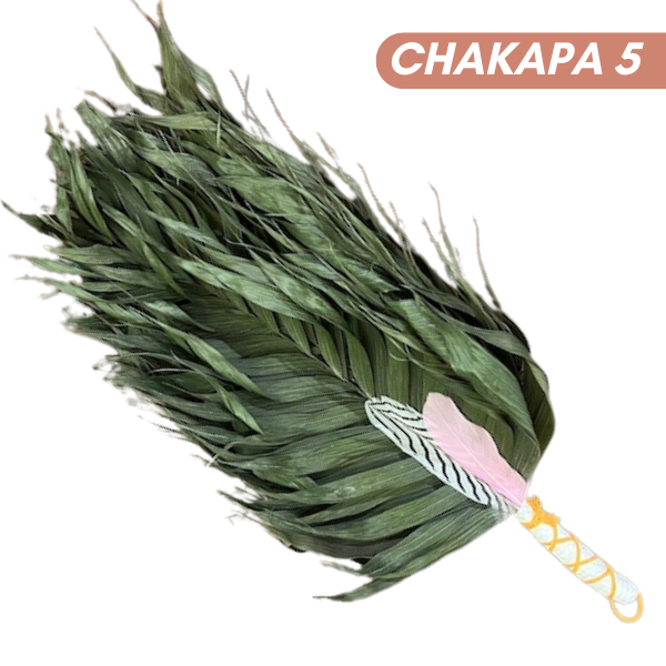 Chakapas Ceremonial Sound Tool