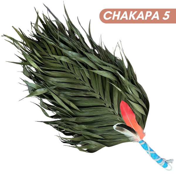 Chakapas Ceremonial Sound Tool